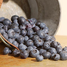 Load image into Gallery viewer, Aurora Blueberry Bush - USDA Organic