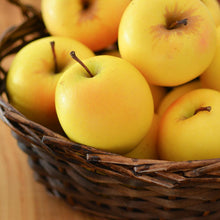 Load image into Gallery viewer, Golden Delicious Apple Tree
